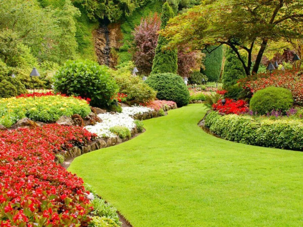Garden Design & Development